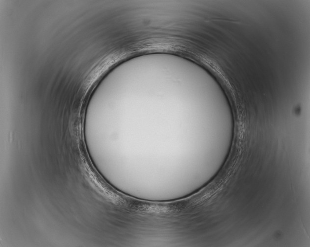 X0000116130890200912141107