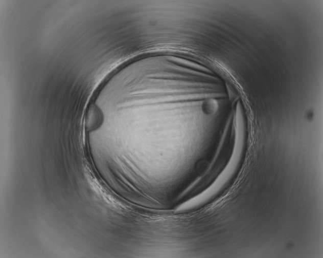 X0000116130892200912141107