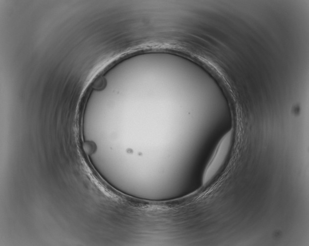 X0000116130894200912141106