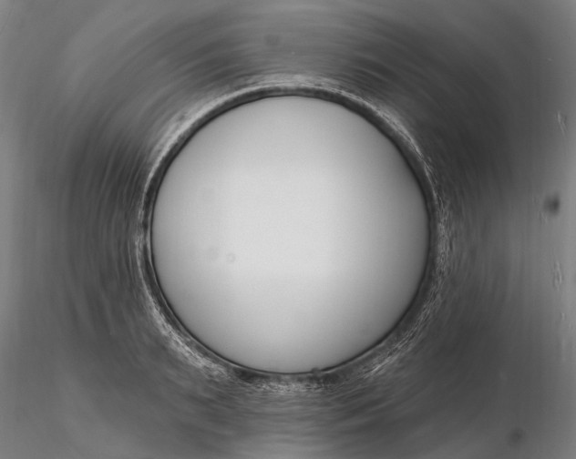 X0000116130895200912141106