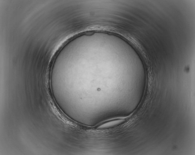 X0000116130896200912141106