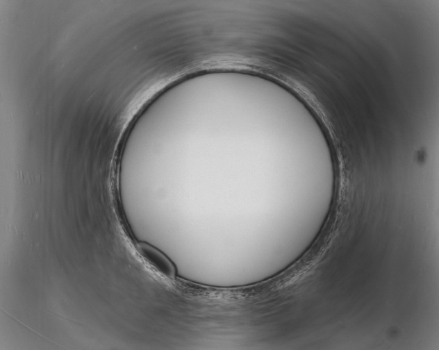 X0000116130901200912141106