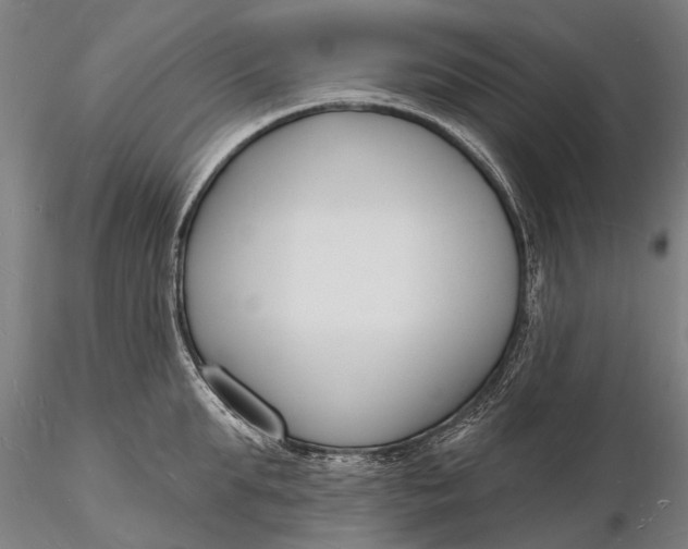 X0000116130903200912141106