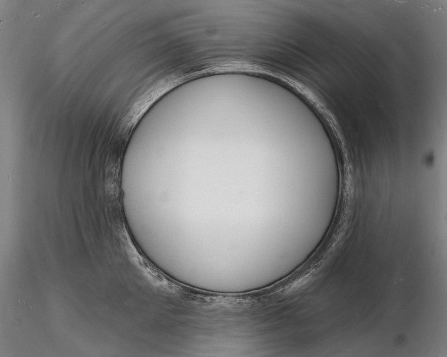 X0000116130905200912141106