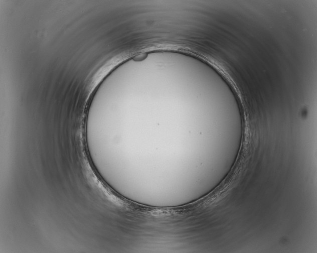 X0000116130906200912141106