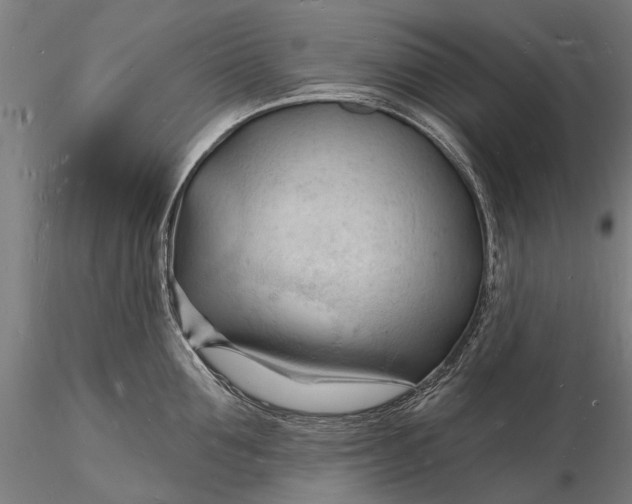 X0000116130907200912141106