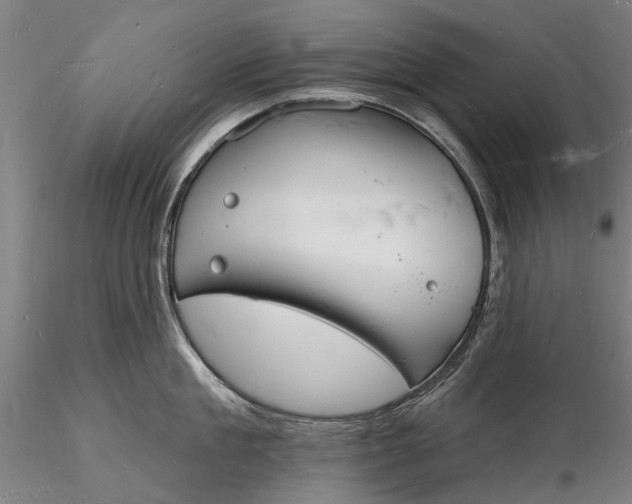 X0000116130909200912141106
