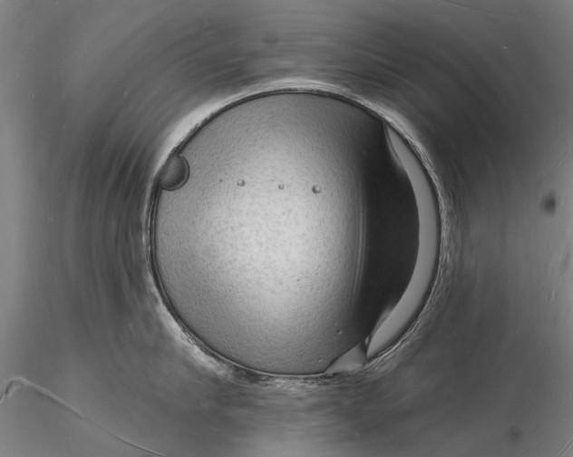 X0000116130910200912141106