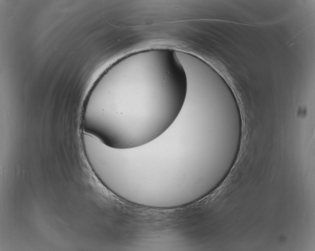 X0000116130912200912141106