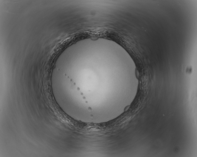 X0000116130913200912141105
