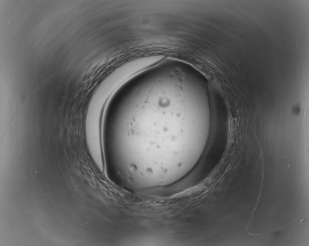 X0000116130917200912141105