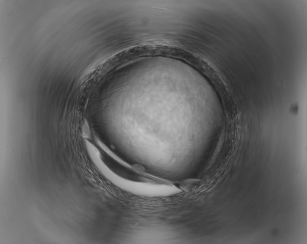 X0000116130919200912141105