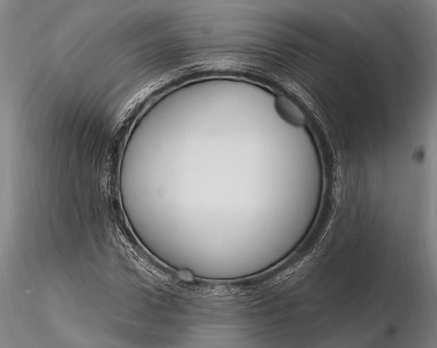 X0000116130922200912141105