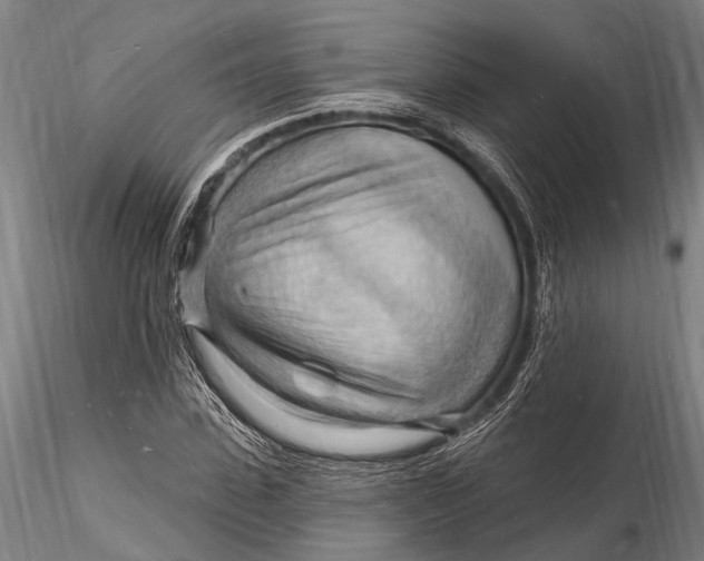 X0000116130923200912141105