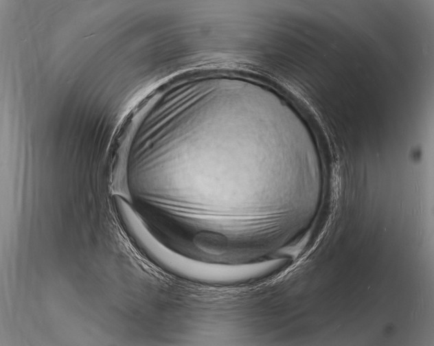 X0000116130925200912141105