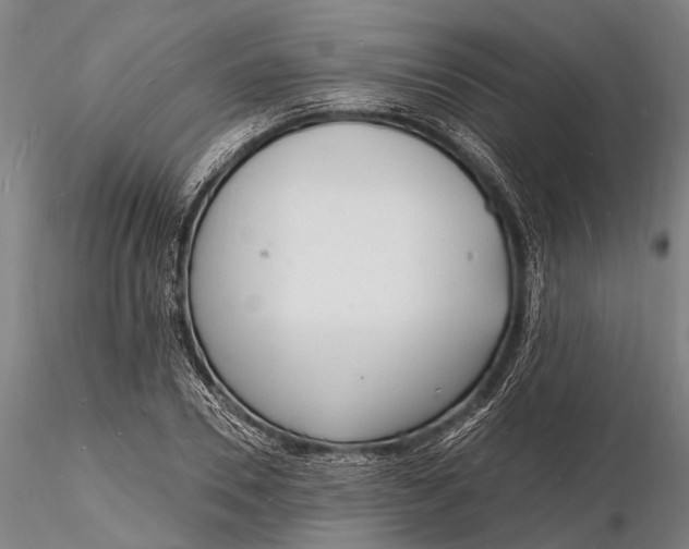 X0000116130930200912141105