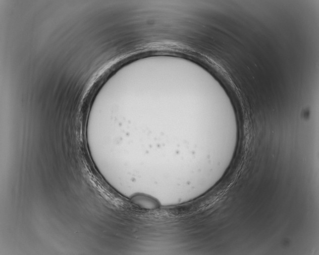 X0000116130931200912141106