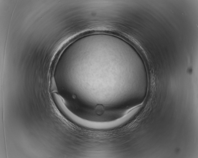 X0000116130935200912141106