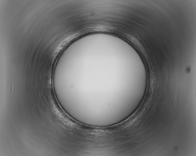 X0000116130938200912141106