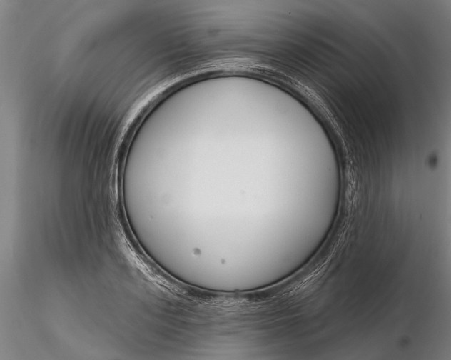 X0000116130939200912141106