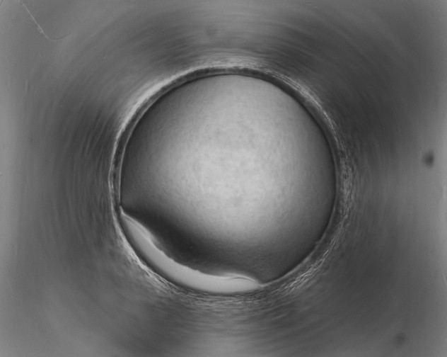 X0000116130943200912141106