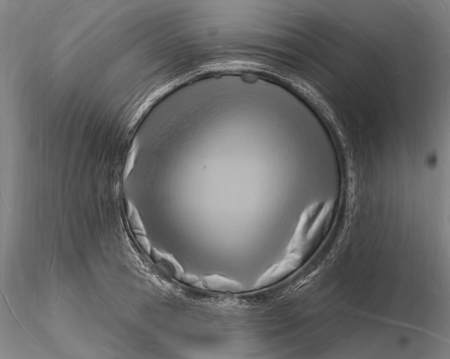 X0000116130945200912141106