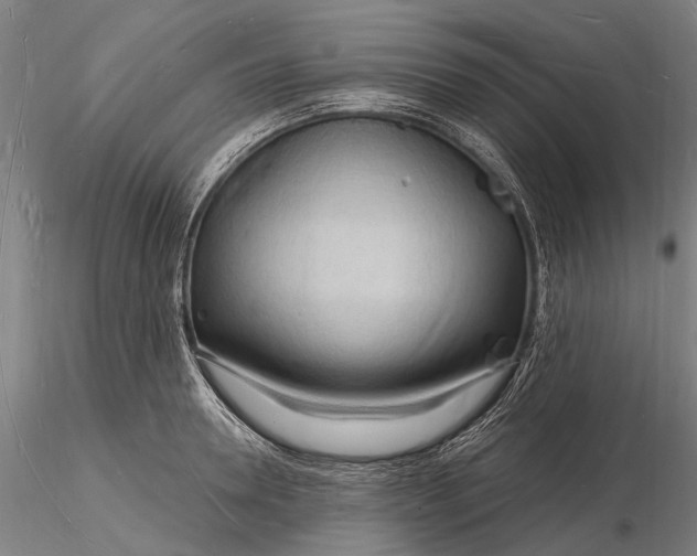 X0000116130946200912141106