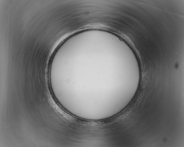 X0000116130947200912141106