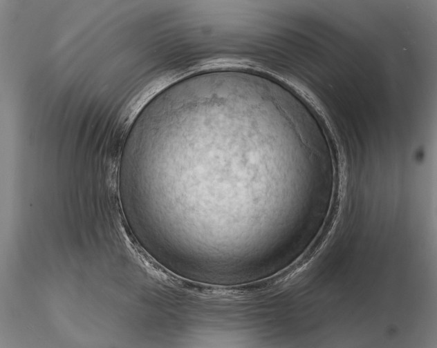 X0000116130953200912141106
