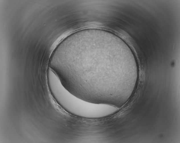 X0000116130954200912141106