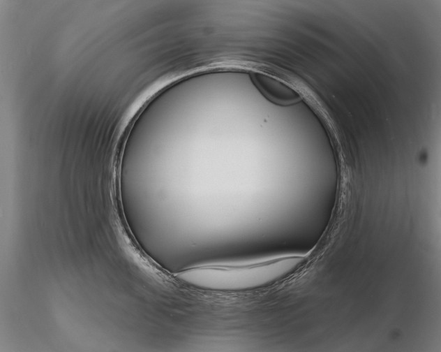 X0000116130955200912141106
