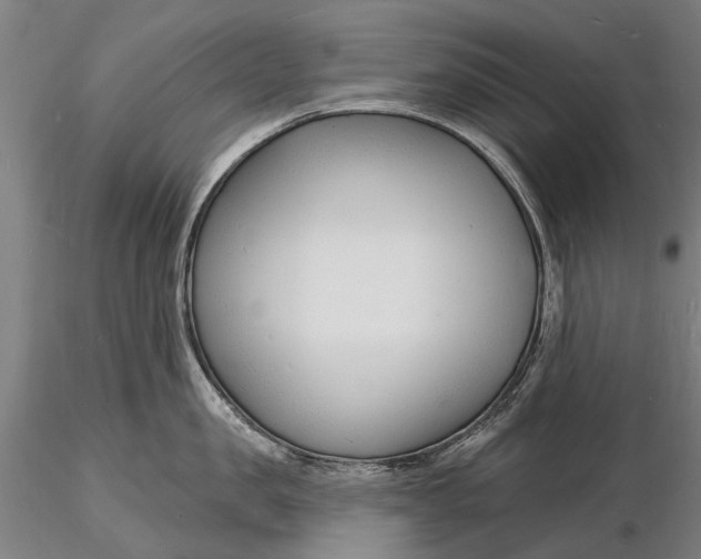 X0000116130957200912141106
