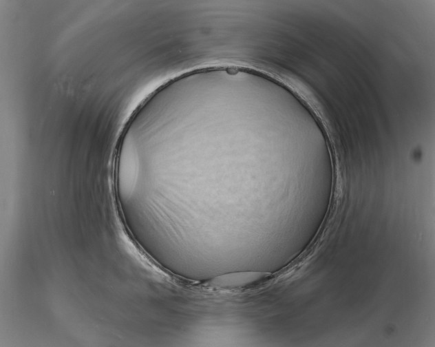 X0000116130958200912141106