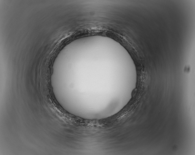 X0000116130961200912141105