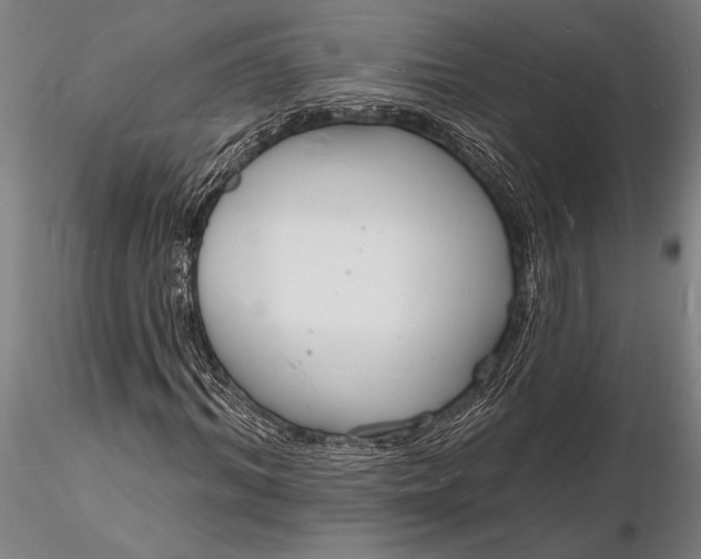 X0000116130964200912141105