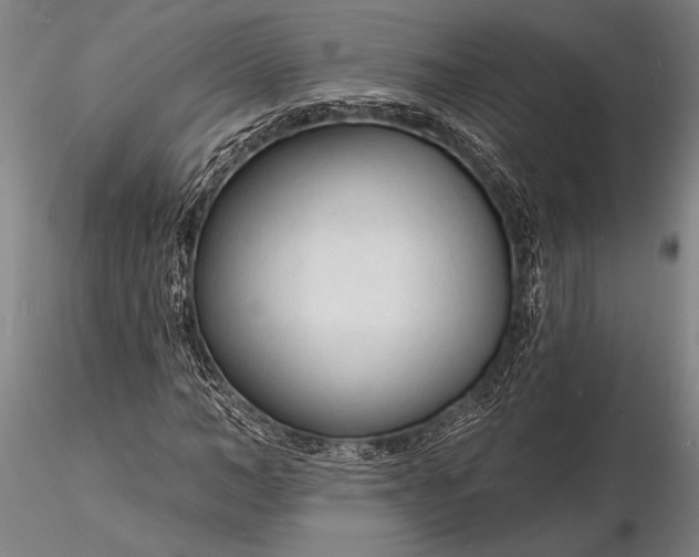 X0000116130966200912141105