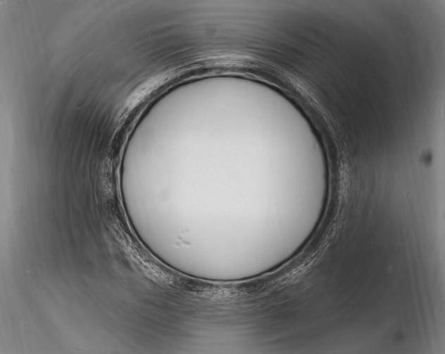 X0000116130970200912141105