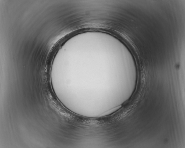 X0000116130971200912141105