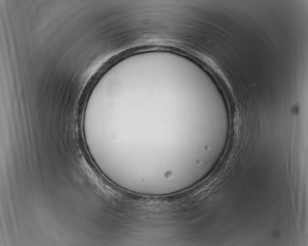 X0000116130972200912141105