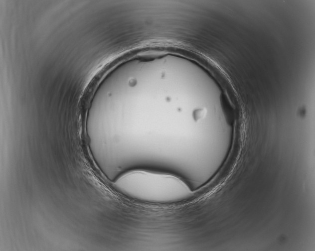 X0000116130973200912141105