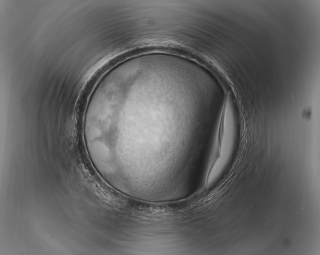 X0000116130975200912141105