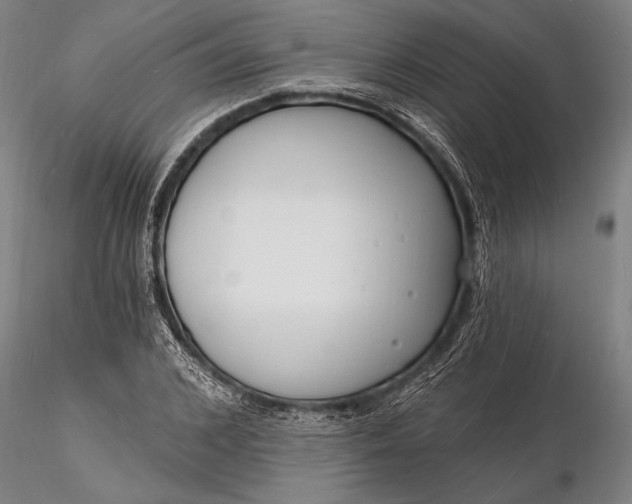 X0000116130976200912141105