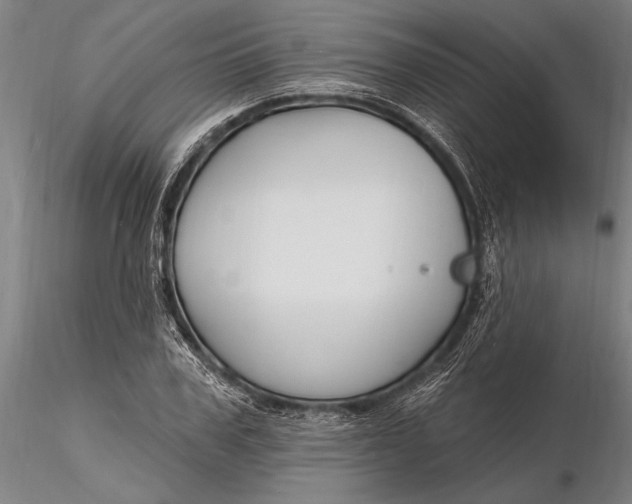 X0000116130979200912141105