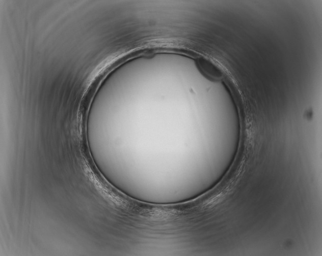 X0000116130981200912141105