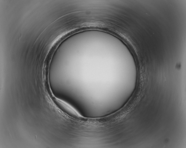 X0000116130983200912141105