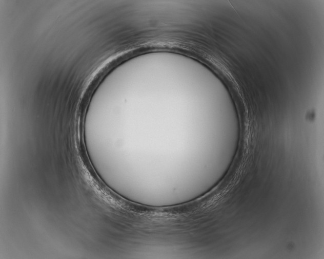 X0000116130984200912141105