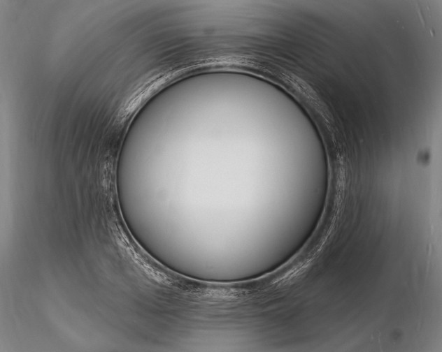 X0000116130985200912141105
