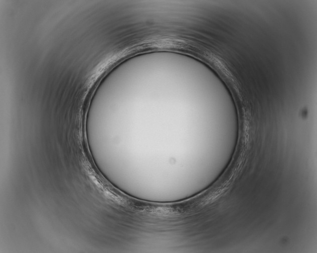 X0000116130986200912141105