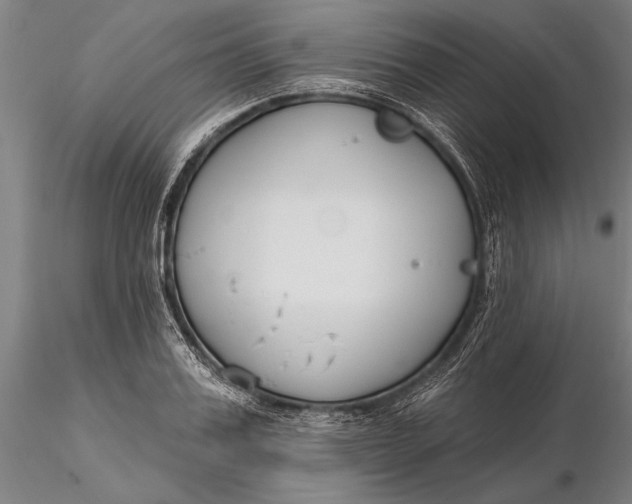 X0000116130987200912141105