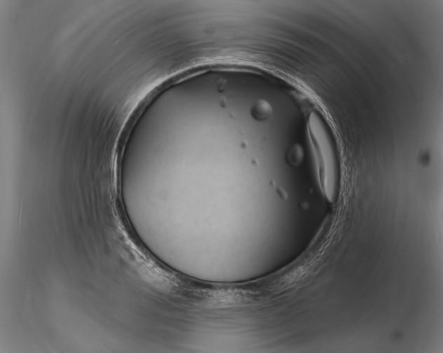 X0000116130988200912141105